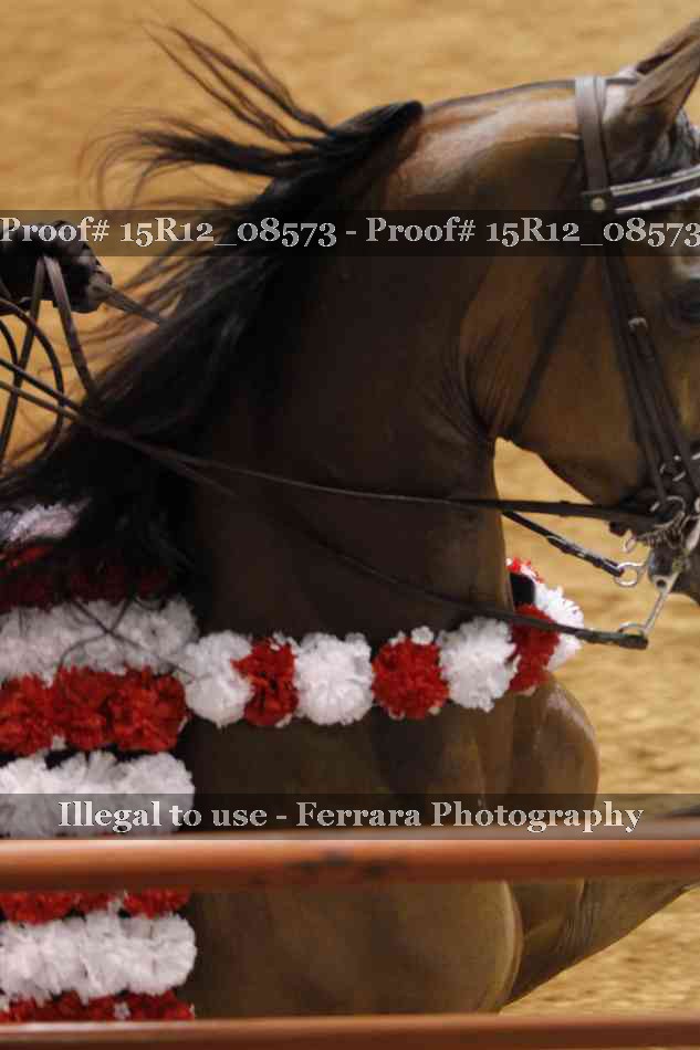 Proof Number 15R12_08573