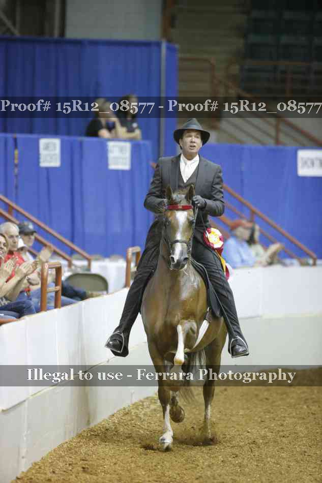 Proof Number 15R12_08577