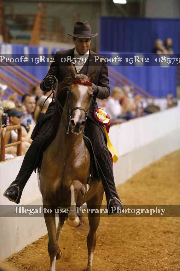 Proof Number 15R12_08579