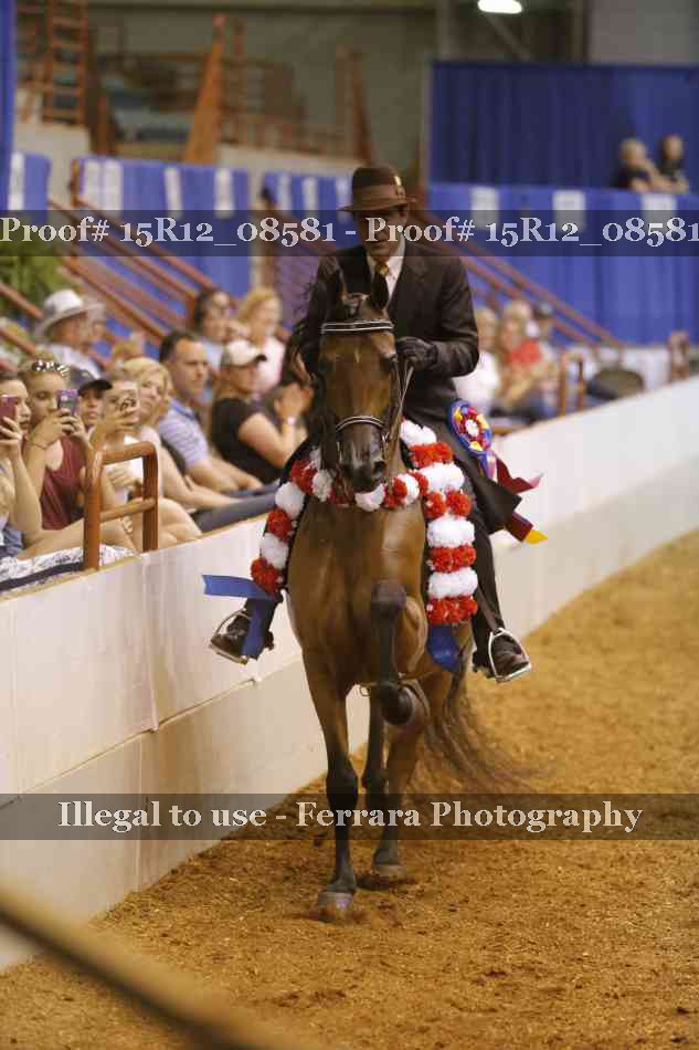 Proof Number 15R12_08581