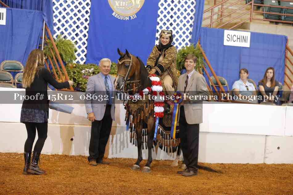Proof Number 15R12_08632
