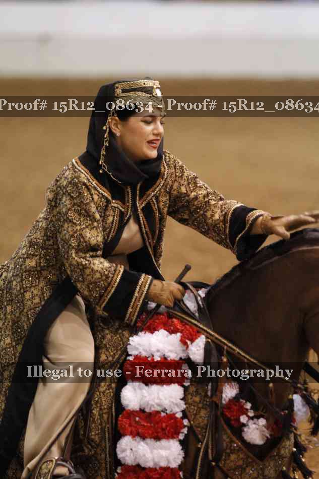 Proof Number 15R12_08634