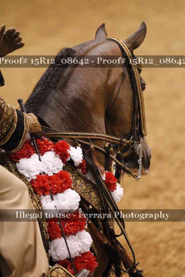 Proof Number 15R12_08642