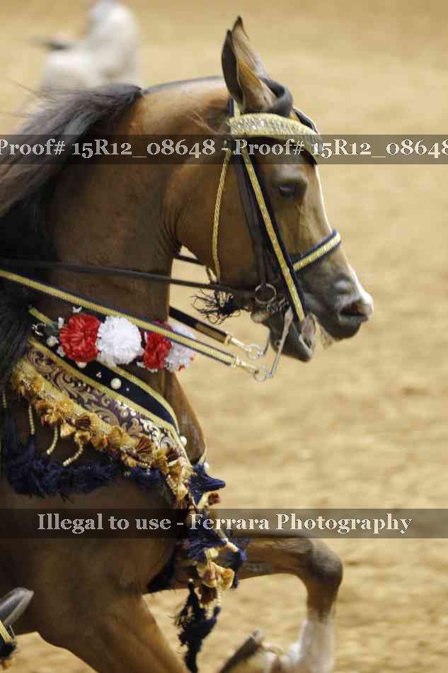 Proof Number 15R12_08648