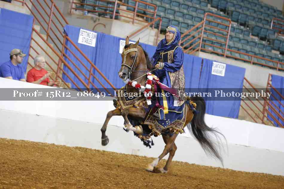 Proof Number 15R12_08649