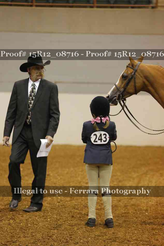 Proof Number 15R12_08716