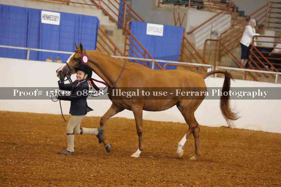 Proof Number 15R12_08728