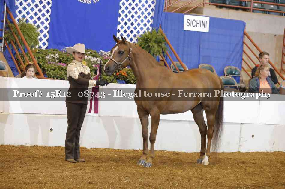 Proof Number 15R12_08743