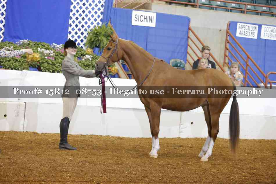 Proof Number 15R12_08753
