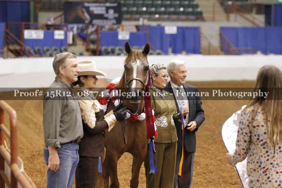 Proof Number 15R12_08774