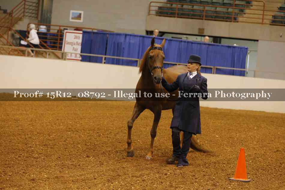 Proof Number 15R12_08792