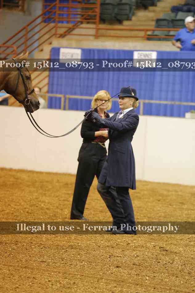 Proof Number 15R12_08793