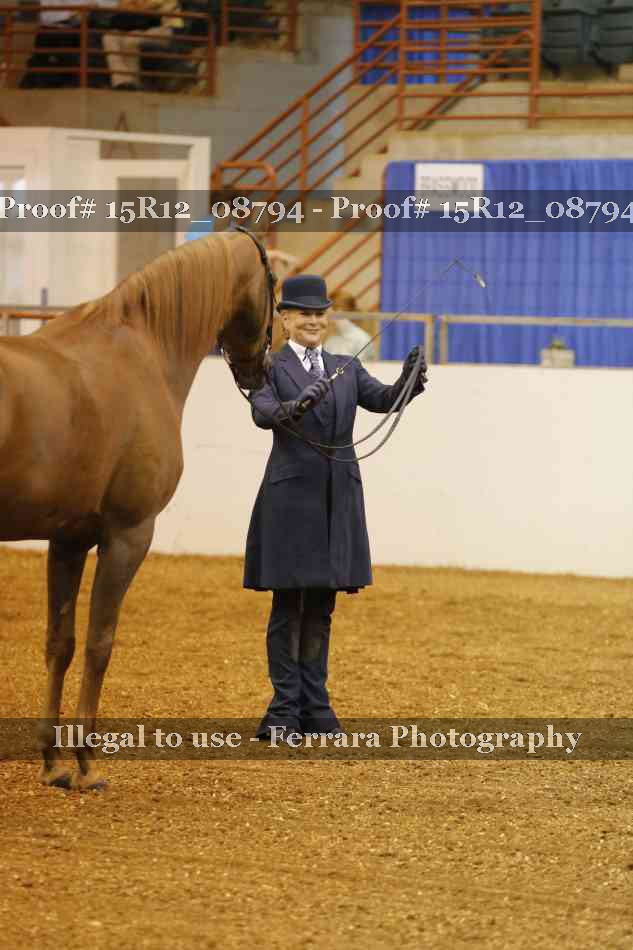 Proof Number 15R12_08794