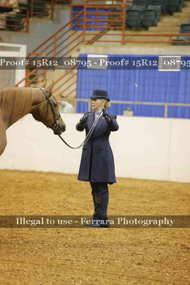 Proof Number 15R12_08795
