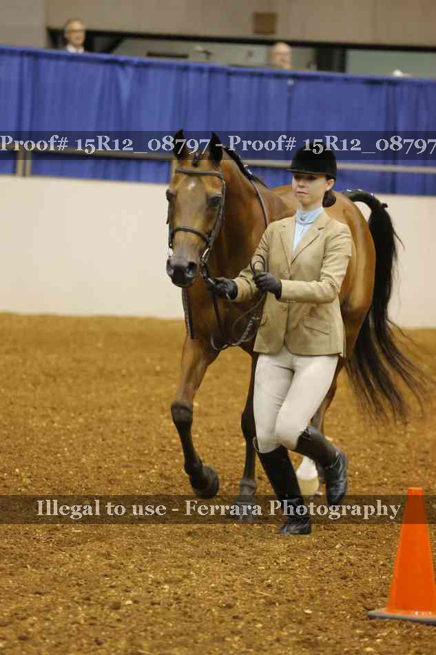 Proof Number 15R12_08797