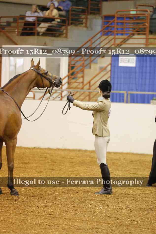Proof Number 15R12_08799