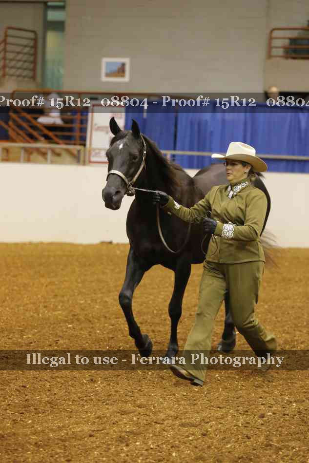 Proof Number 15R12_08804