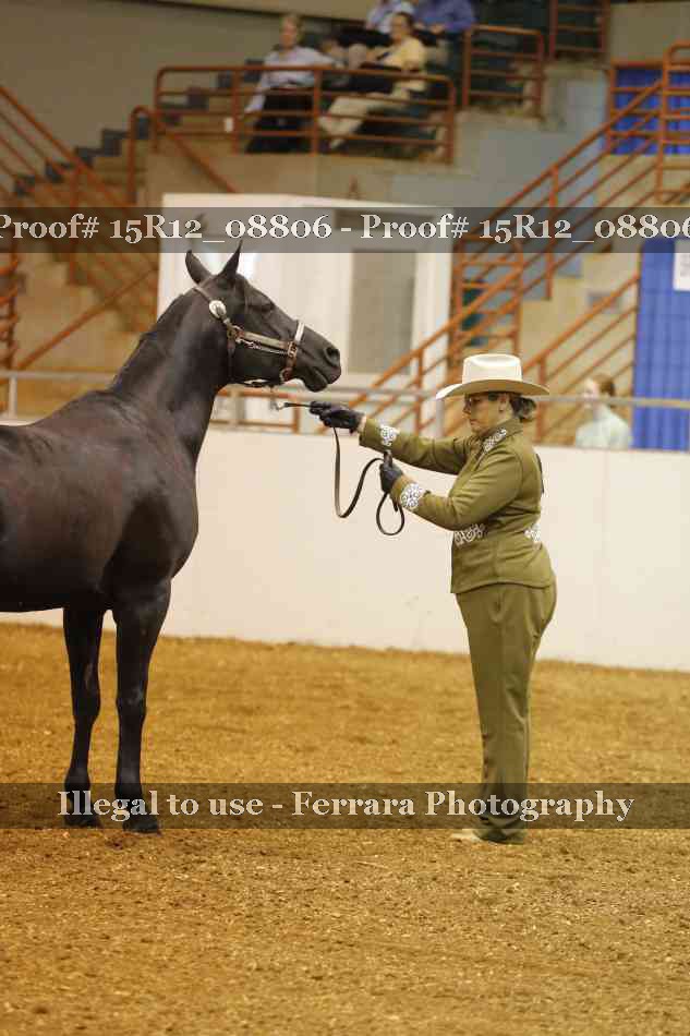Proof Number 15R12_08806