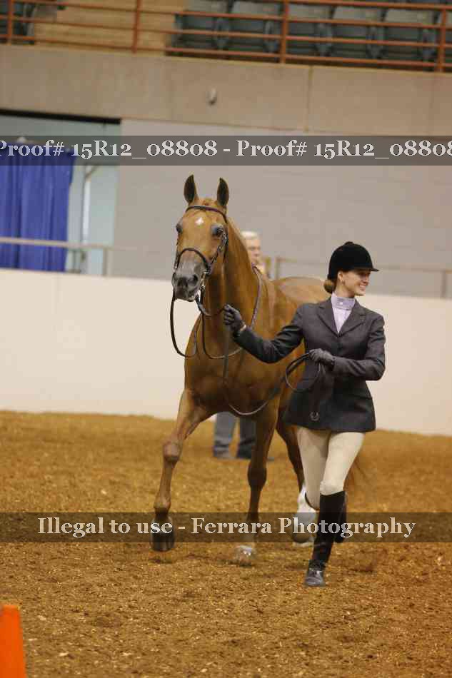 Proof Number 15R12_08808