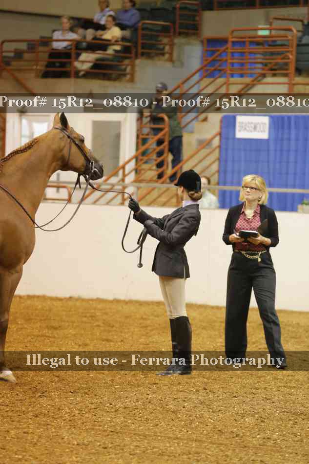 Proof Number 15R12_08810