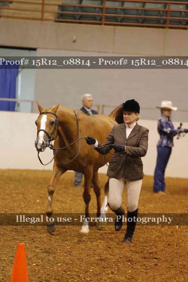 Proof Number 15R12_08814