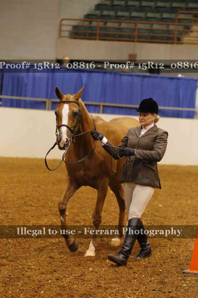 Proof Number 15R12_08816