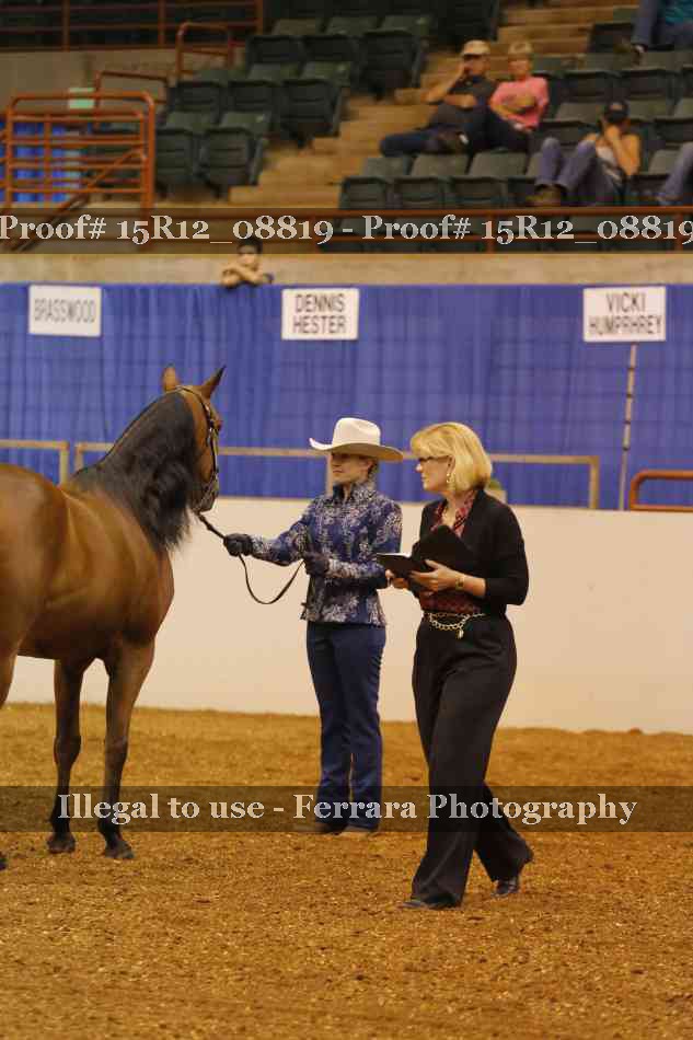 Proof Number 15R12_08819
