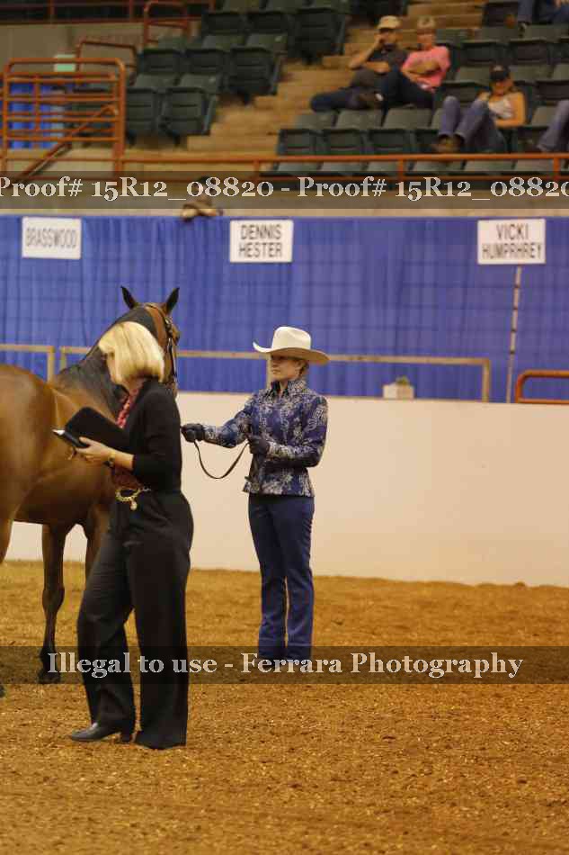 Proof Number 15R12_08820