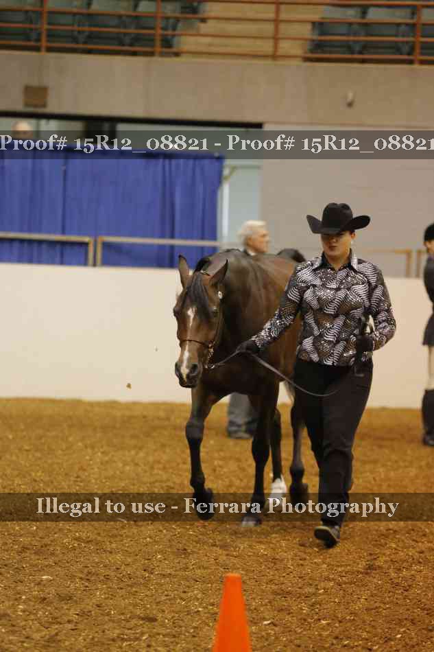 Proof Number 15R12_08821