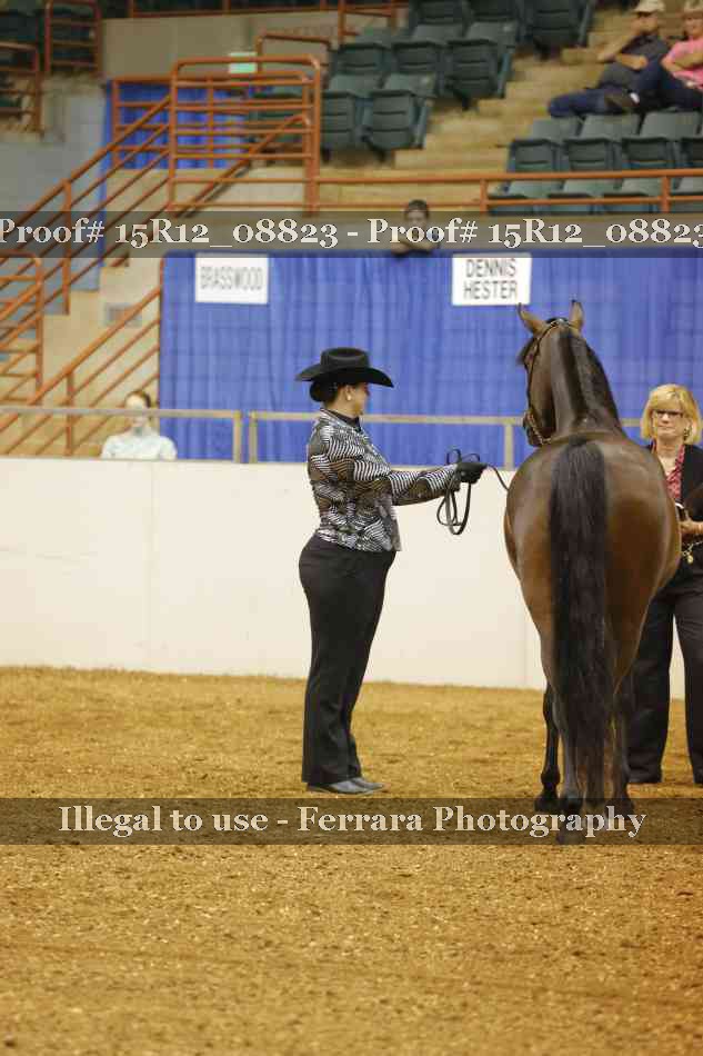 Proof Number 15R12_08823