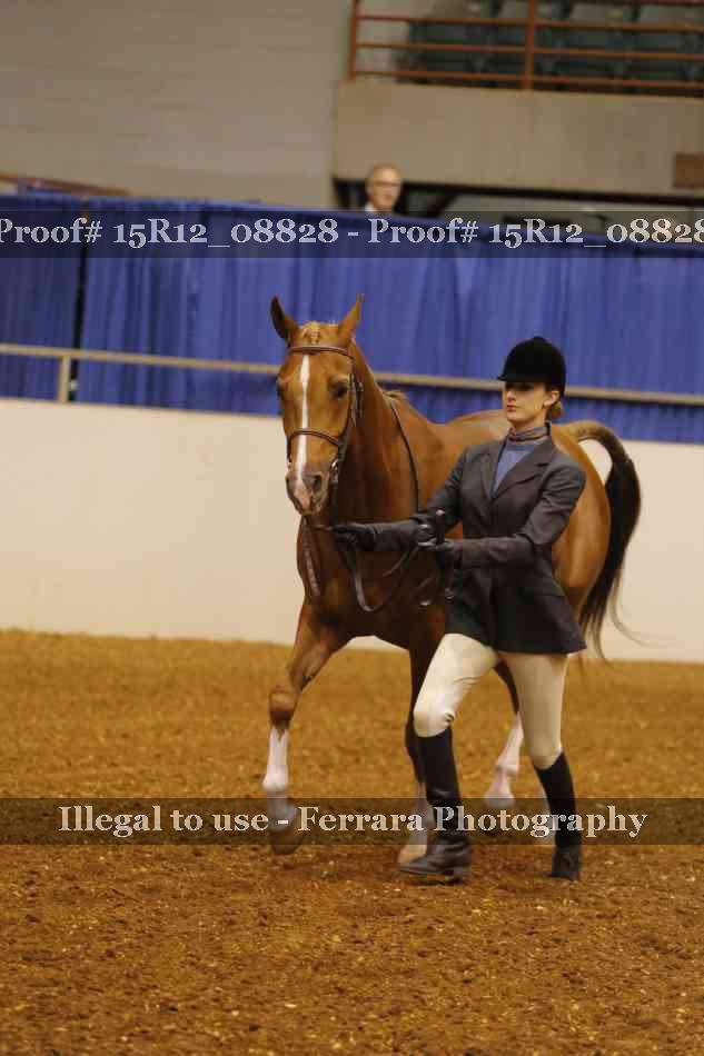 Proof Number 15R12_08828