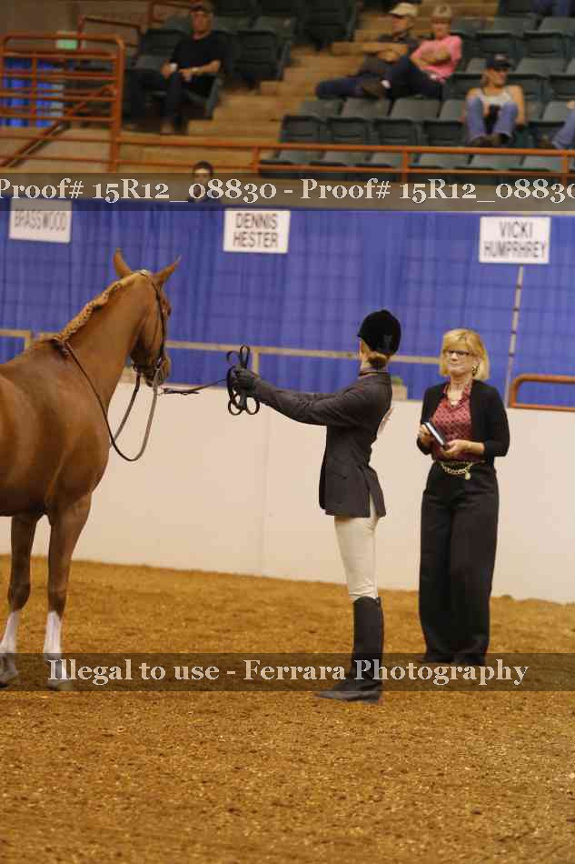 Proof Number 15R12_08830