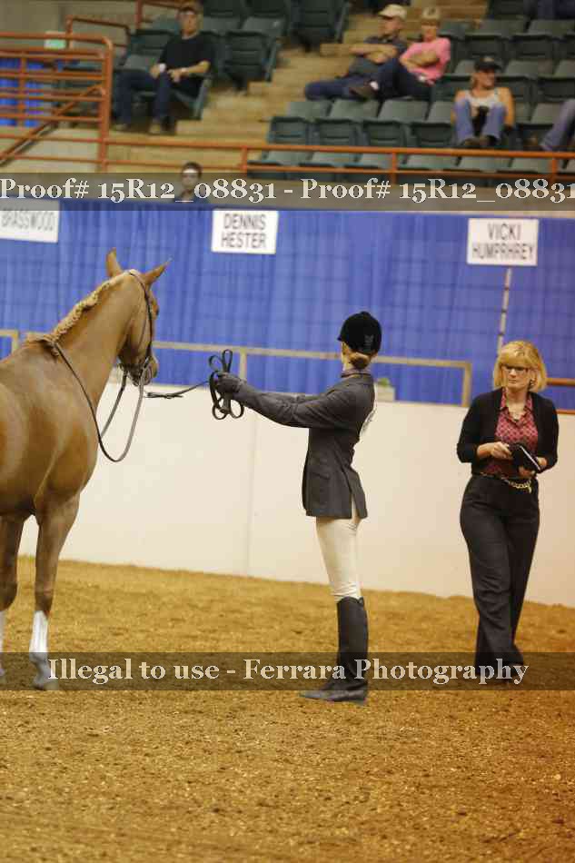 Proof Number 15R12_08831