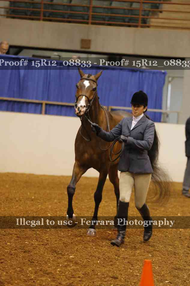 Proof Number 15R12_08833