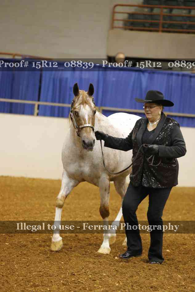 Proof Number 15R12_08839