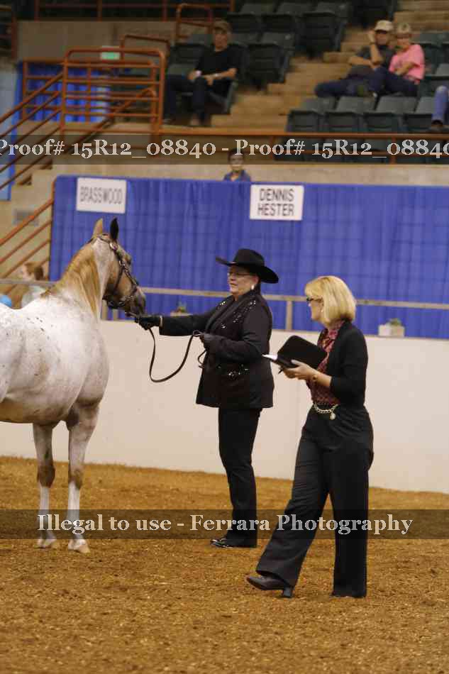 Proof Number 15R12_08840