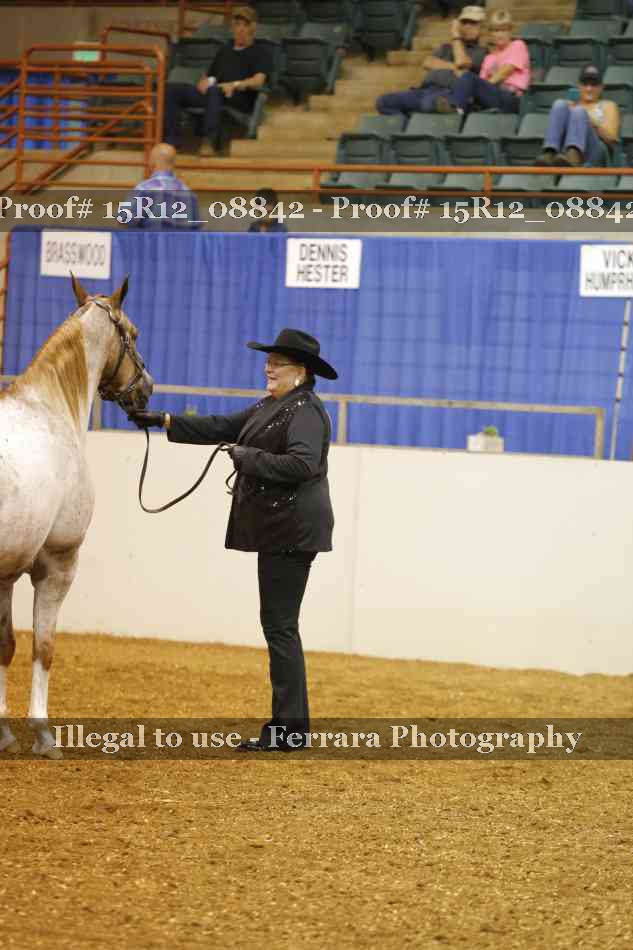 Proof Number 15R12_08842