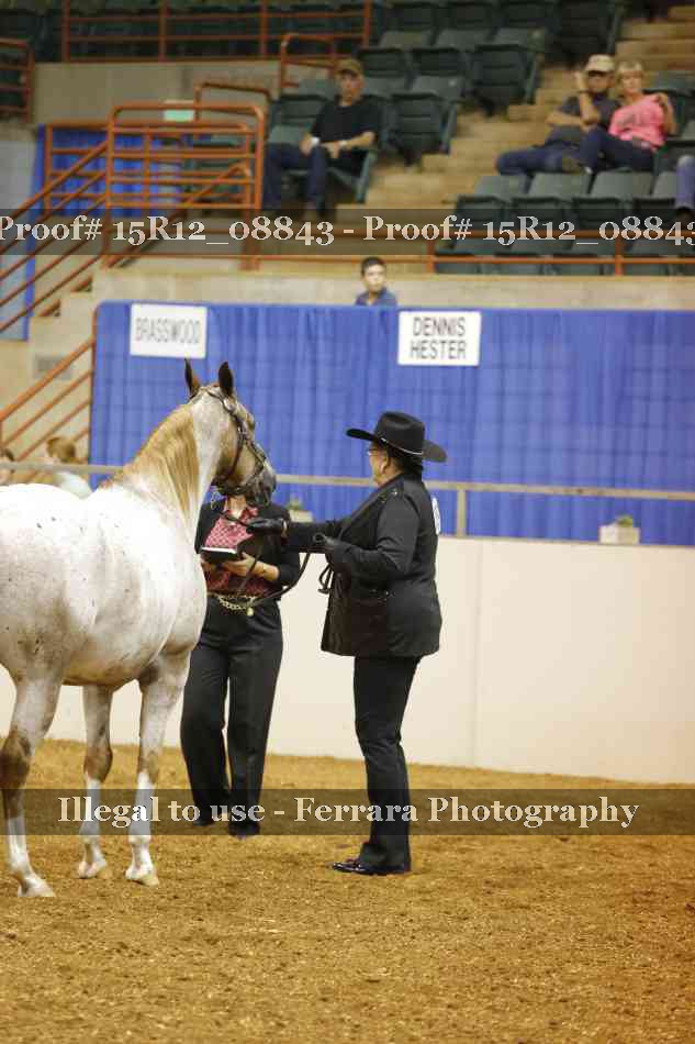 Proof Number 15R12_08843