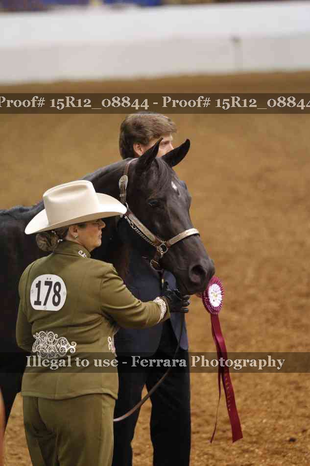 Proof Number 15R12_08844