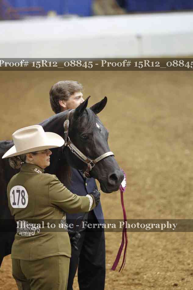Proof Number 15R12_08845