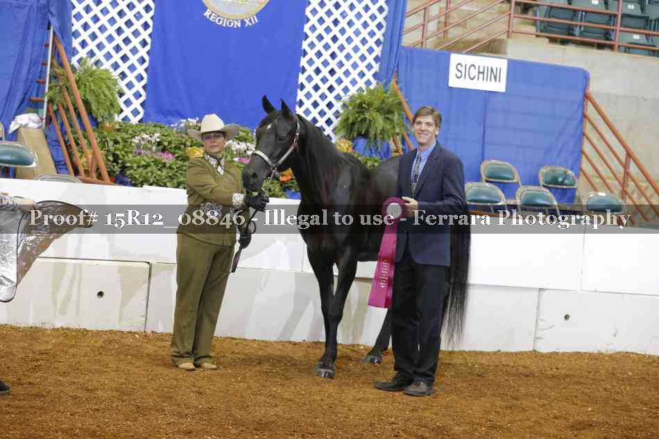 Proof Number 15R12_08846