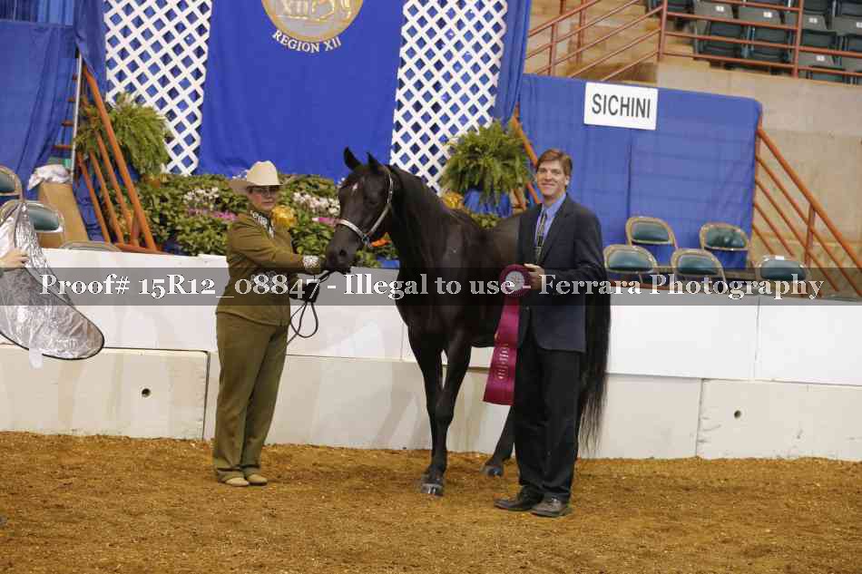 Proof Number 15R12_08847