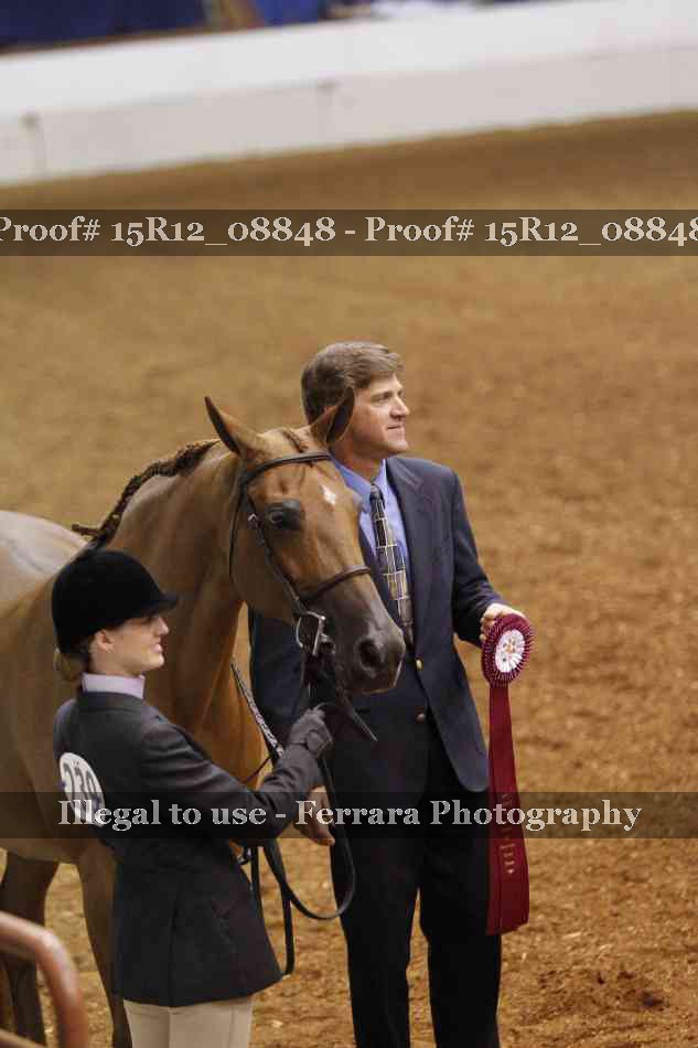 Proof Number 15R12_08848