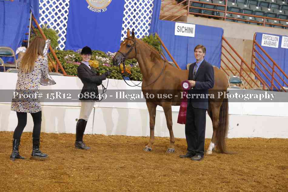Proof Number 15R12_08849