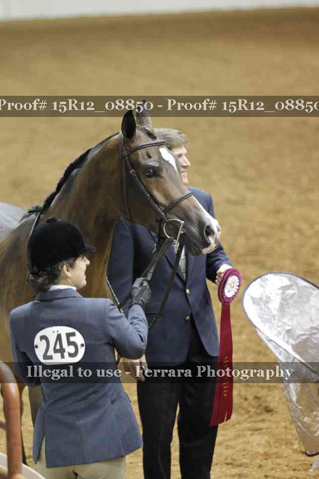 Proof Number 15R12_08850