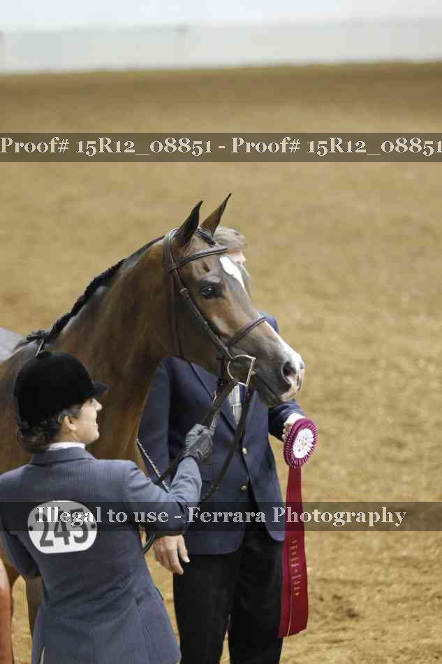 Proof Number 15R12_08851