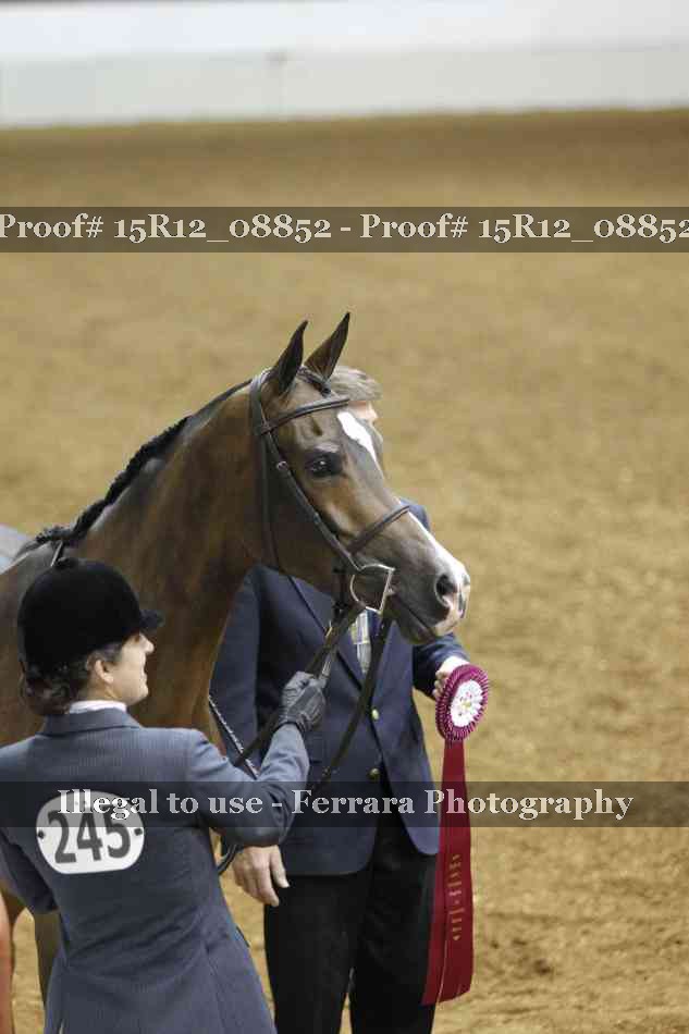 Proof Number 15R12_08852