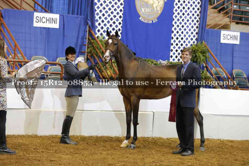 Proof Number 15R12_08853