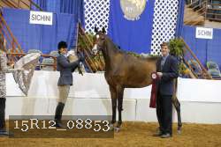 15R12_08853 thumbnail