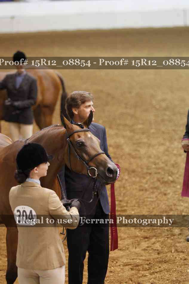 Proof Number 15R12_08854